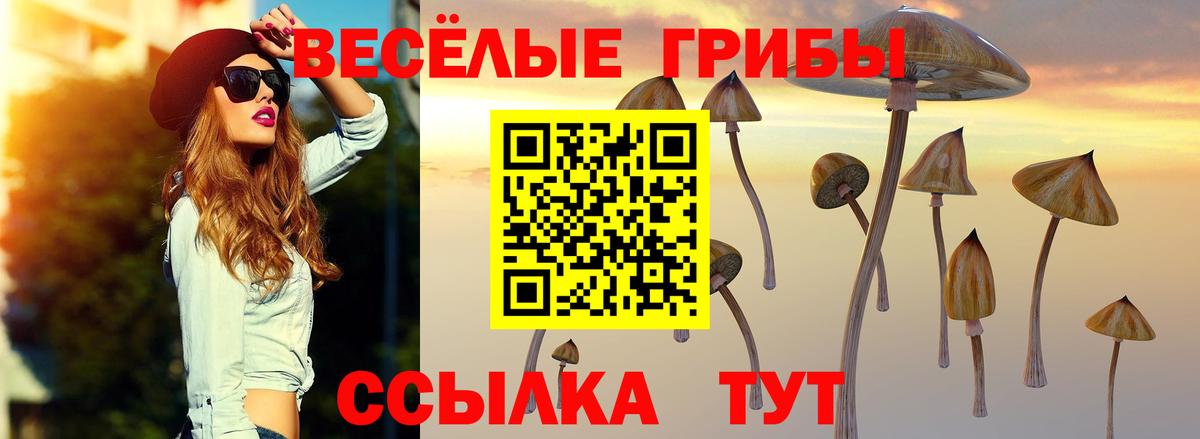 Псилоцибиновые грибы Cubensis  Вход с VPN  Менделеевск  Галлюциногенные грибы Psilocybine cubensis 